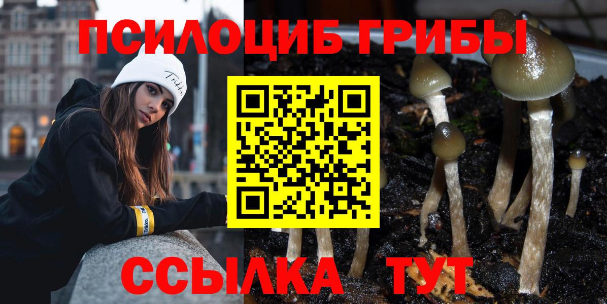 Галлюциногенные грибы Cubensis Омск
