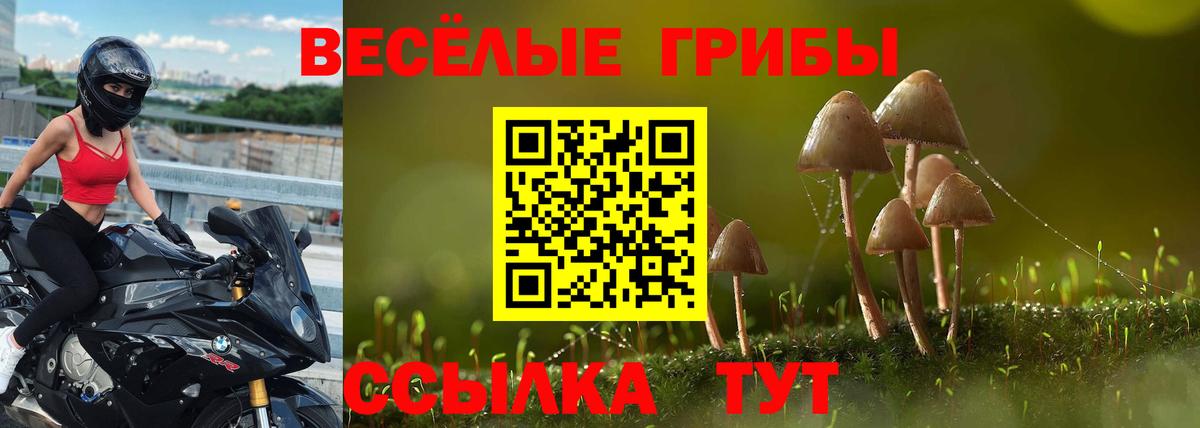Галлюциногенные грибы мухоморы  Вход с VPN  Омск  Псилоцибиновые грибы Psilocybe 